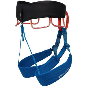 Harnais New Comers Black Diamond BD650005