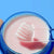 V3HE1D9203354D325B924995F17FEFAD699R6241650P5