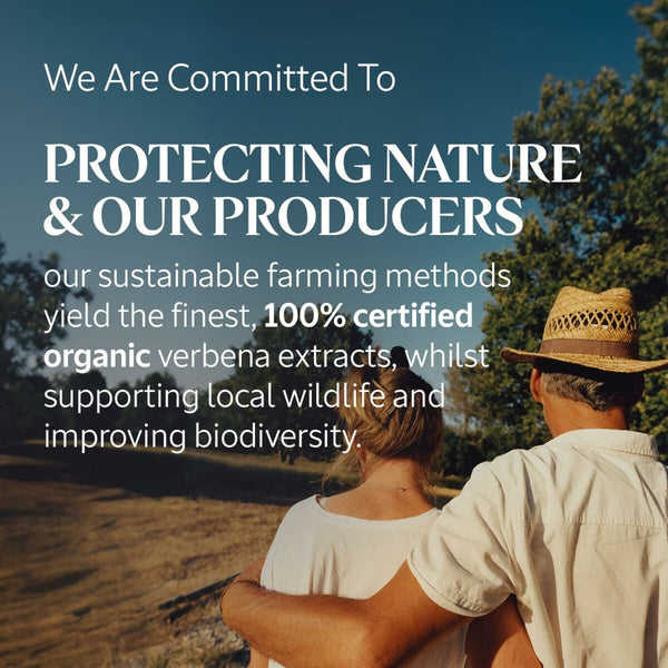 V4H3BAEDD20742040C62382139FA8B4660BR5915515P3